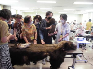 母熊の毛皮、子熊のぬいぐるみ、ああちゃん熊の小物を手にして見ている学園生の様子を撮影した写真